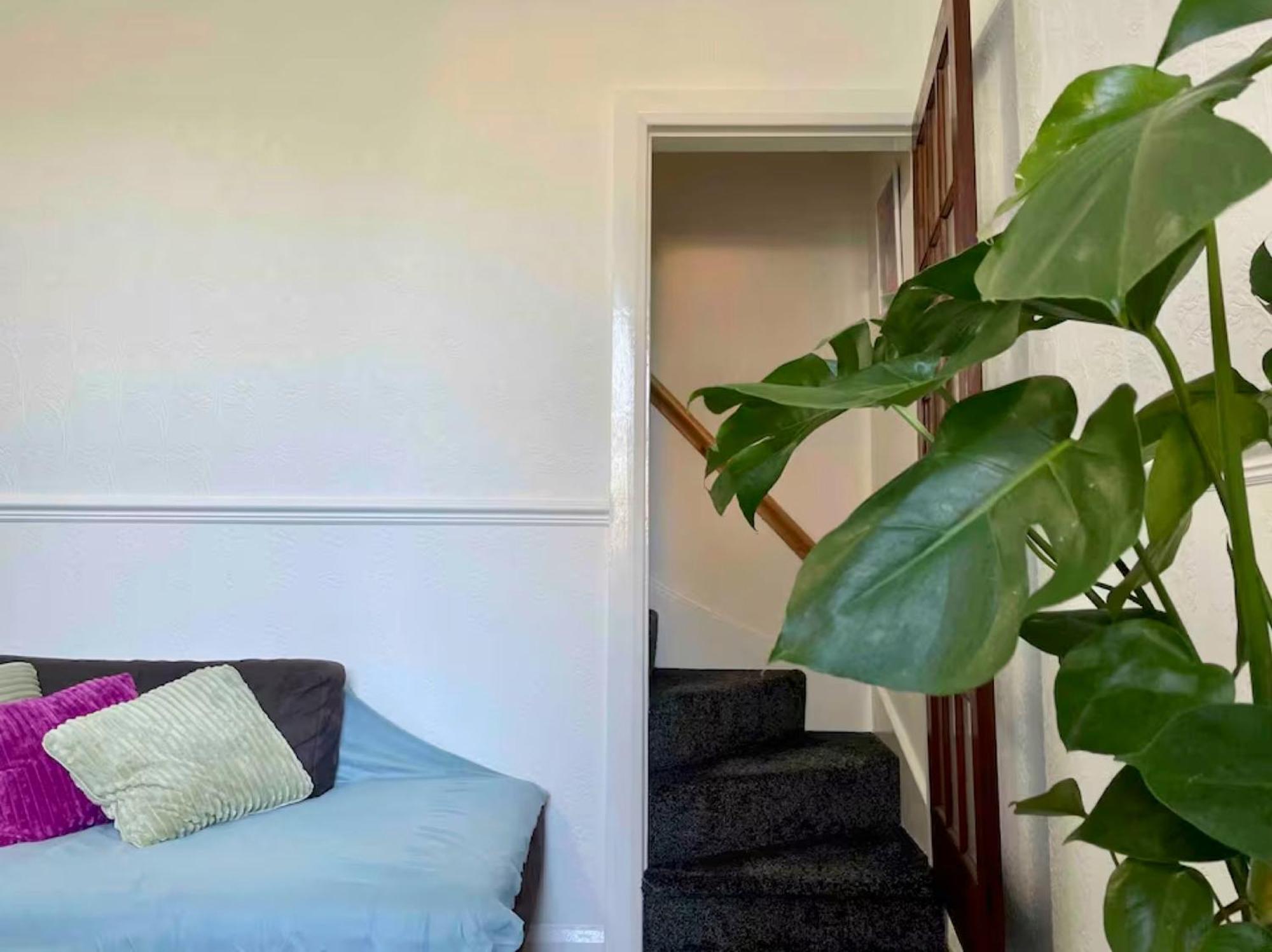 Homestay Rarely New! Sunning King-bed With A Mini Fridge, Delicate Work Space And Breakfast In A 3-bed Cosy House, Super Quiet And Full Of Hospitality *
