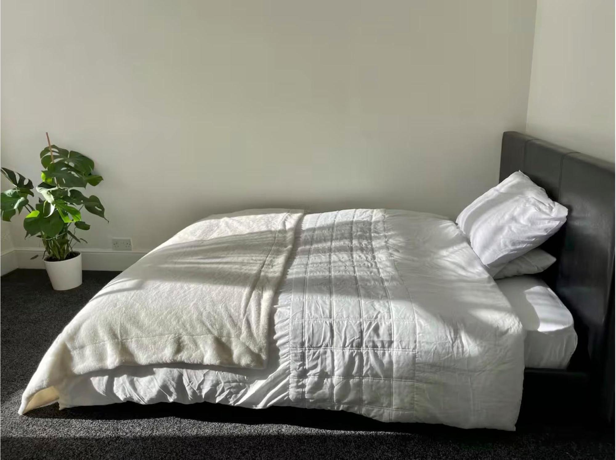 Homestay Rarely New! Sunning King-bed With A Mini Fridge, Delicate Work Space And Breakfast In A 3-bed Cosy House, Super Quiet And Full Of Hospitality *