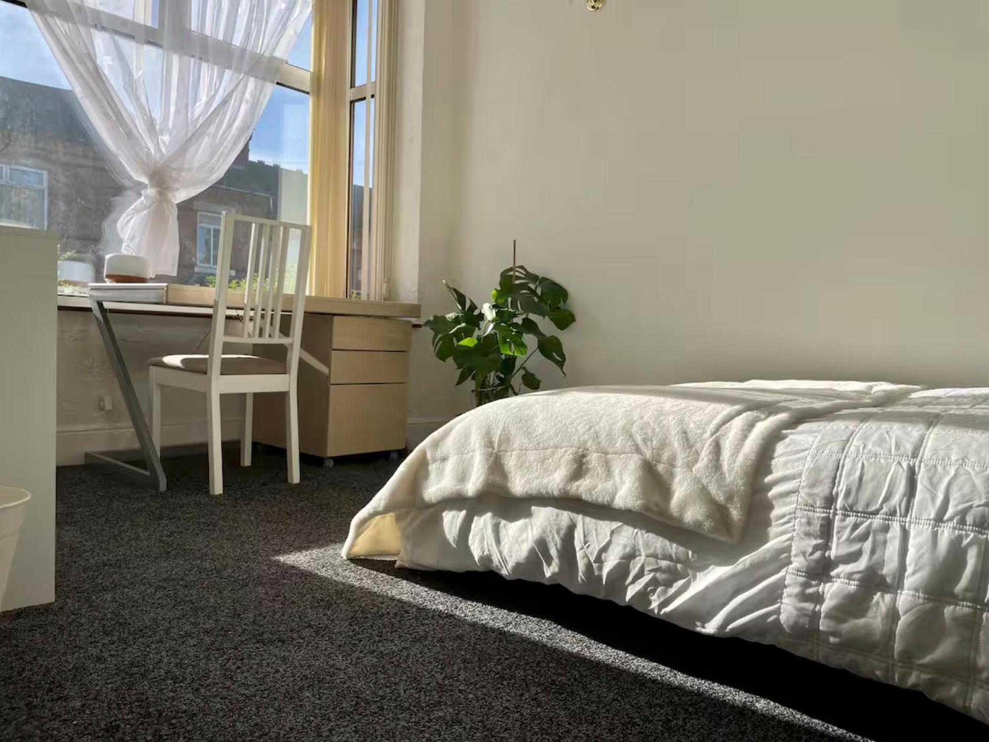 Homestay Rarely New! Sunning King-bed With A Mini Fridge, Delicate Work Space And Breakfast In A 3-bed Cosy House, Super Quiet And Full Of Hospitality Birmingham