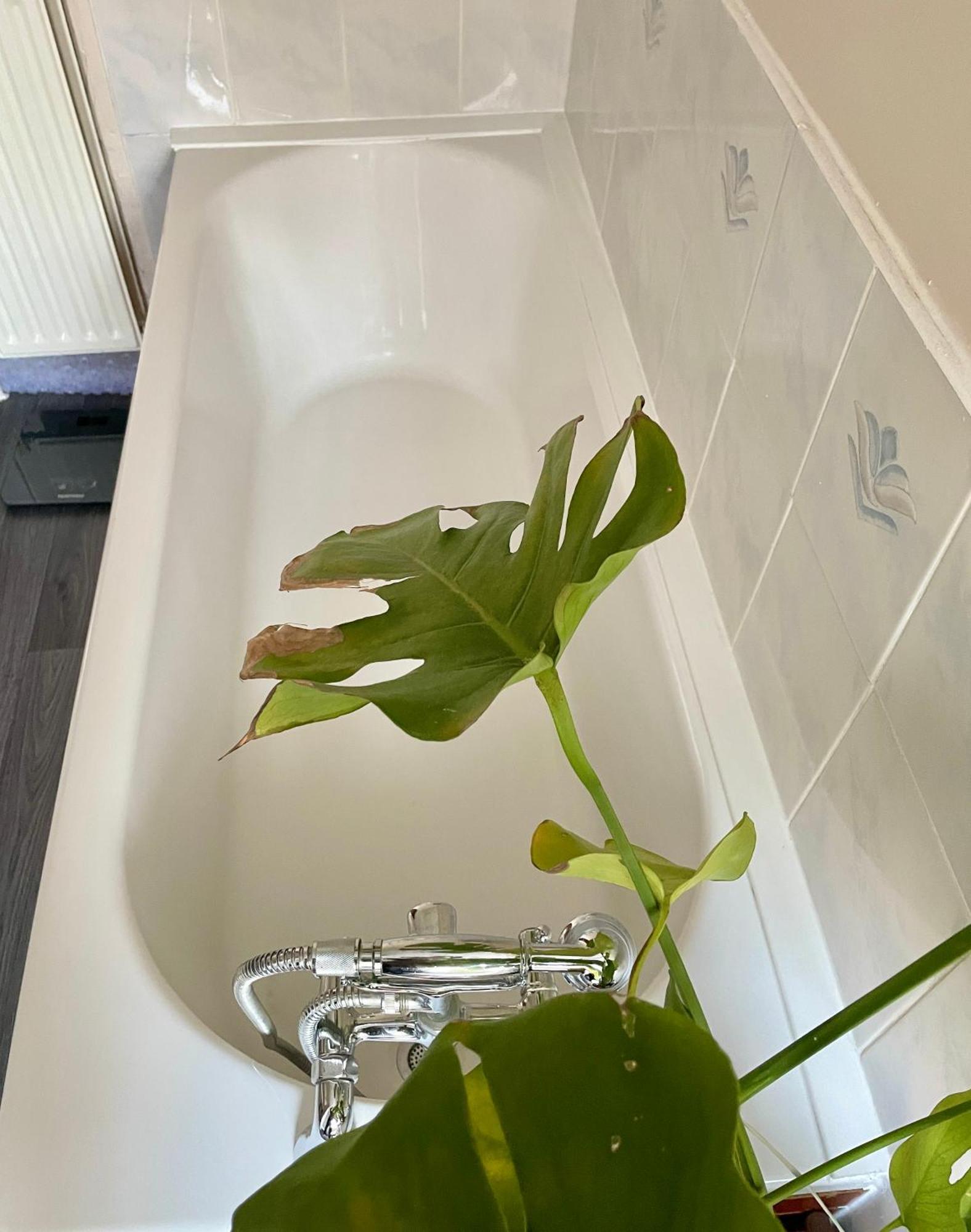 Homestay Rarely New! Sunning King-bed With A Mini Fridge, Delicate Work Space And Breakfast In A 3-bed Cosy House, Super Quiet And Full Of Hospitality *